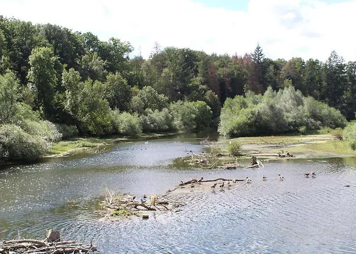 Am Fischteich Appartement *